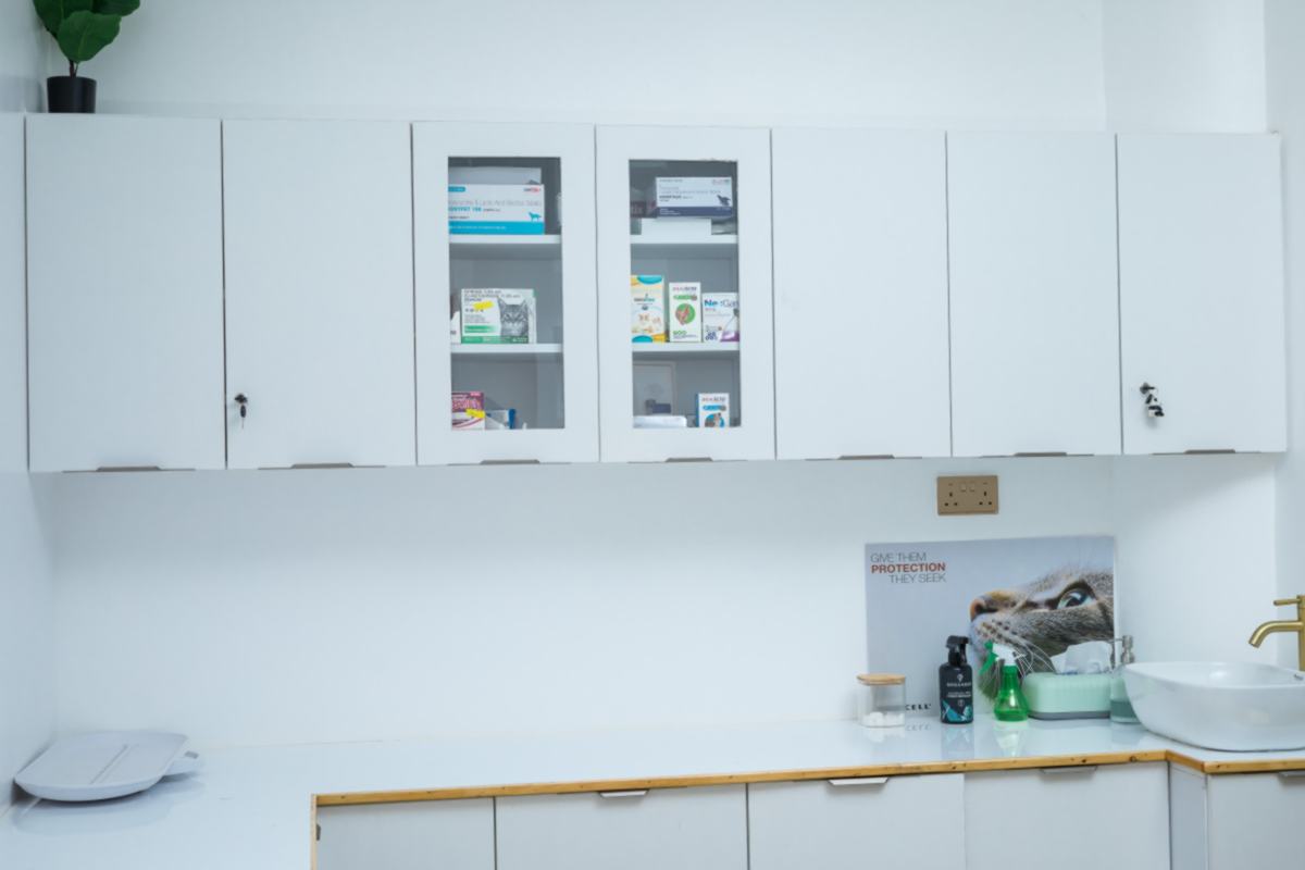 Mobivet Veterinary Clinic gallery photo